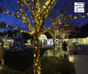 LUCES NAVIDEÑAS CON PANEL SOLAR